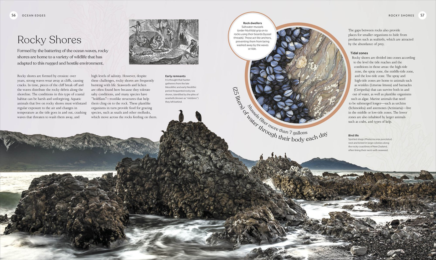 The Ocean Book: The Stories, Science, and History of Oceans