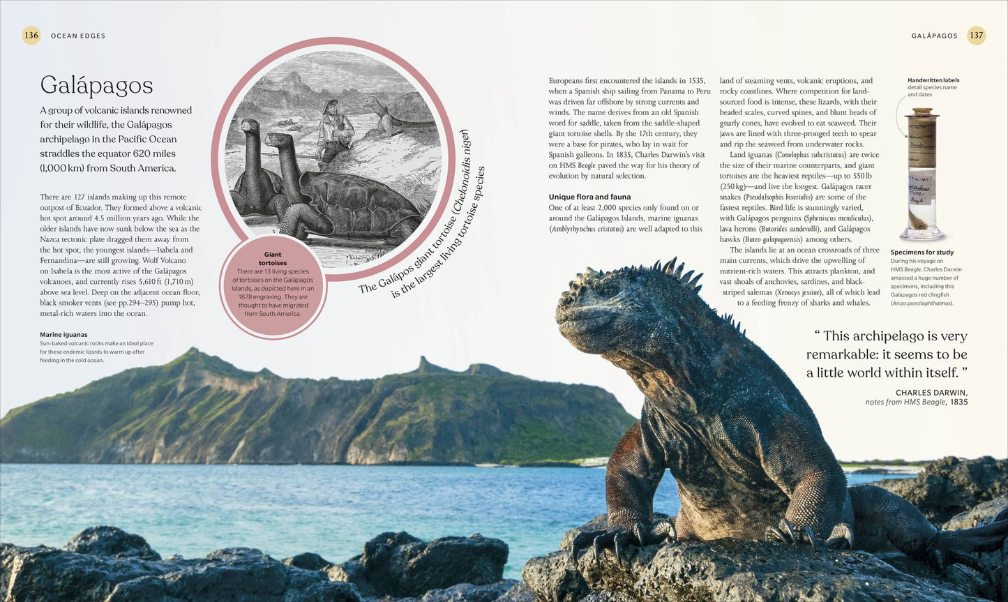 The Ocean Book: The Stories, Science, and History of Oceans