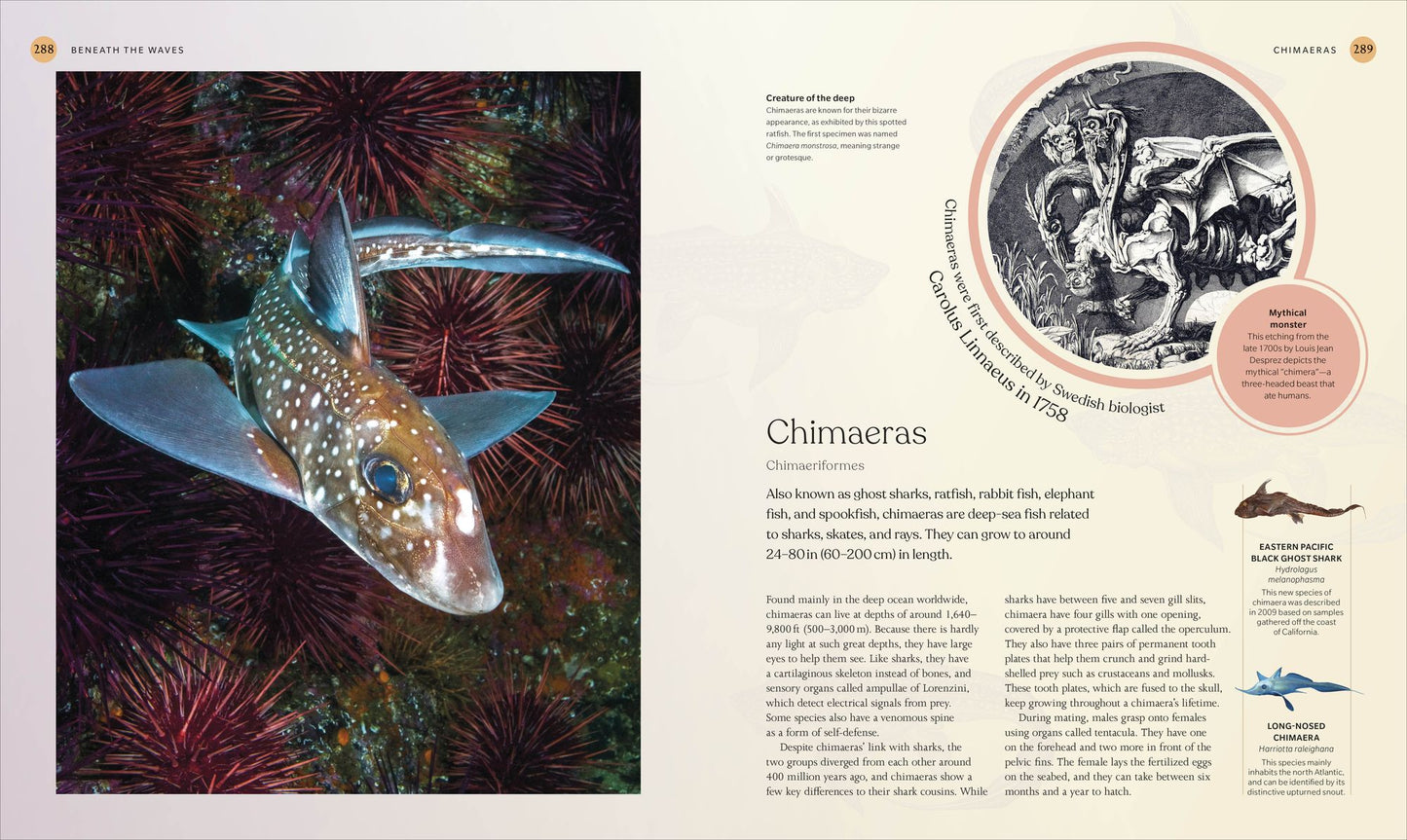 The Ocean Book: The Stories, Science, and History of Oceans