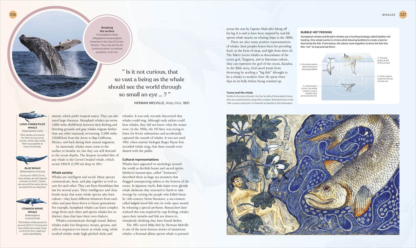The Ocean Book: The Stories, Science, and History of Oceans