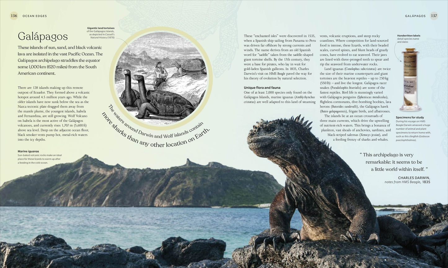 The Ocean Book: The Stories, Science, and History of Oceans