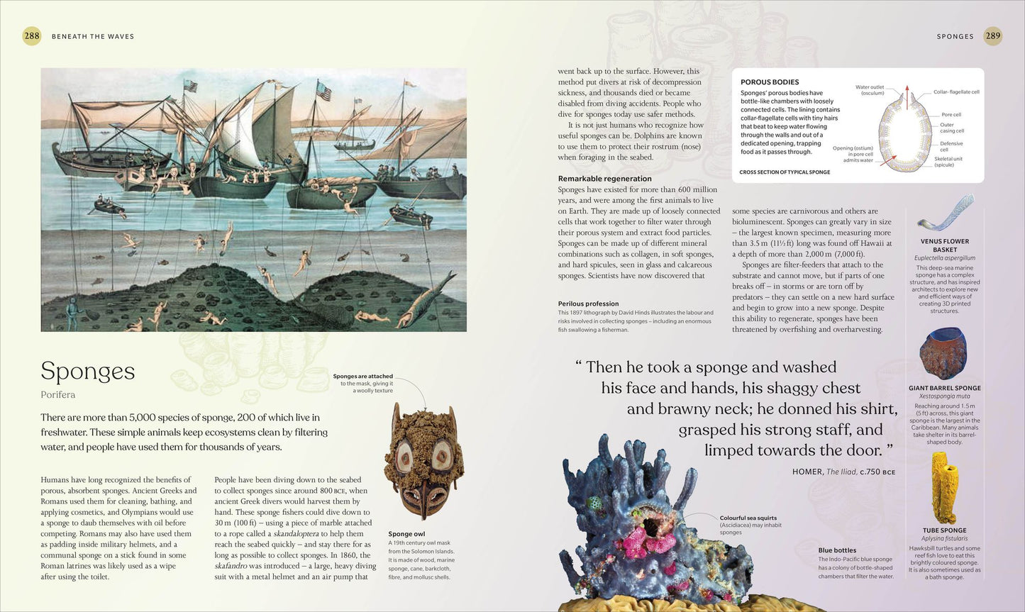The Ocean Book: The Stories, Science, and History of Oceans