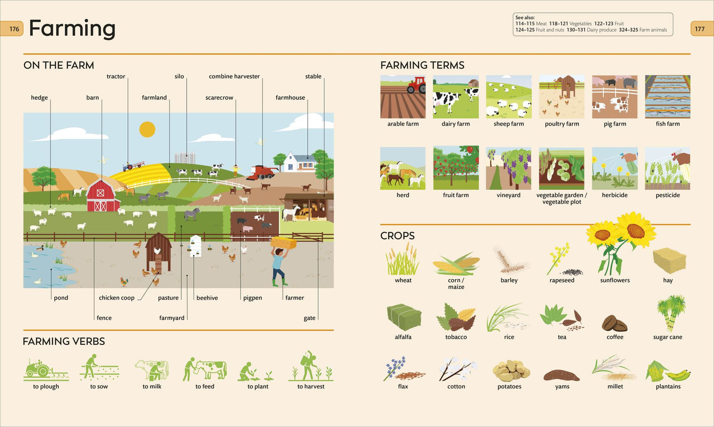 Children's Visual Dictionary