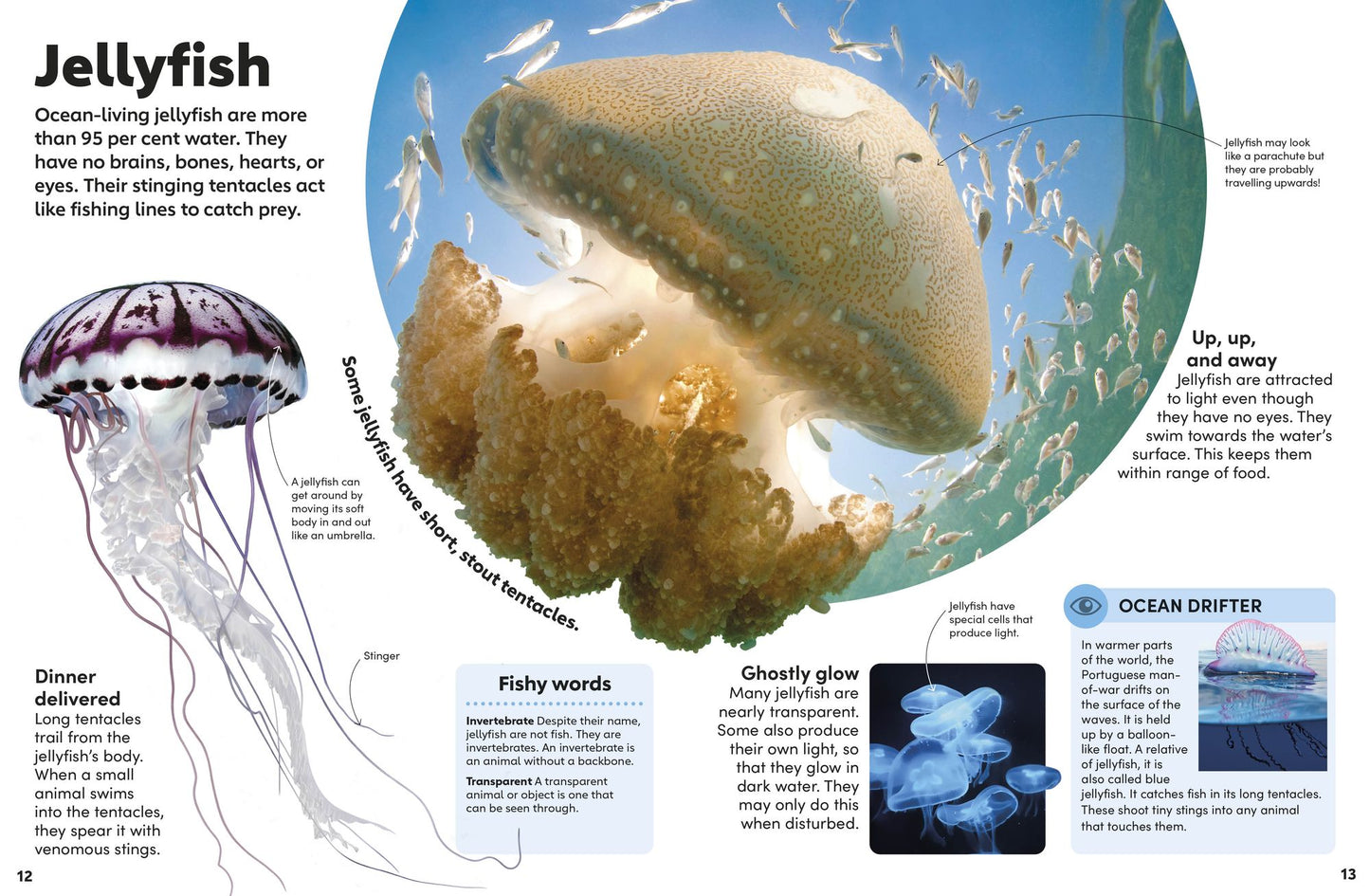 Eyewonder Ocean: Take a Deep Dive Into Our Watery World