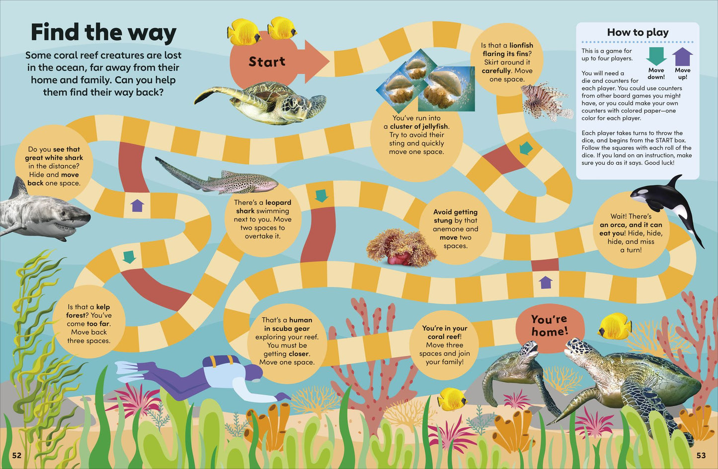 Eyewonder Ocean: Take a Deep Dive Into Our Watery World