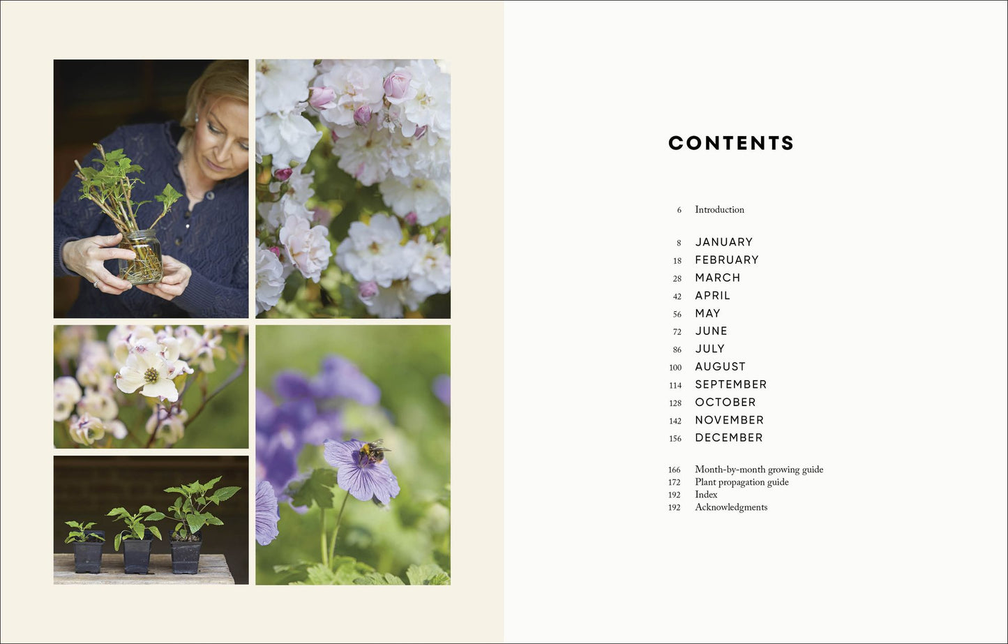 The Money-Saving Garden Year: A Month-by-month Guide to a Great Garden that Costs Less