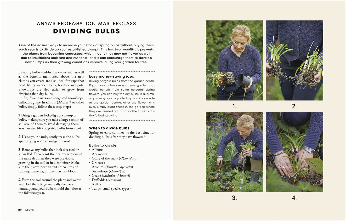 The Money-Saving Garden Year: A Month-by-month Guide to a Great Garden that Costs Less