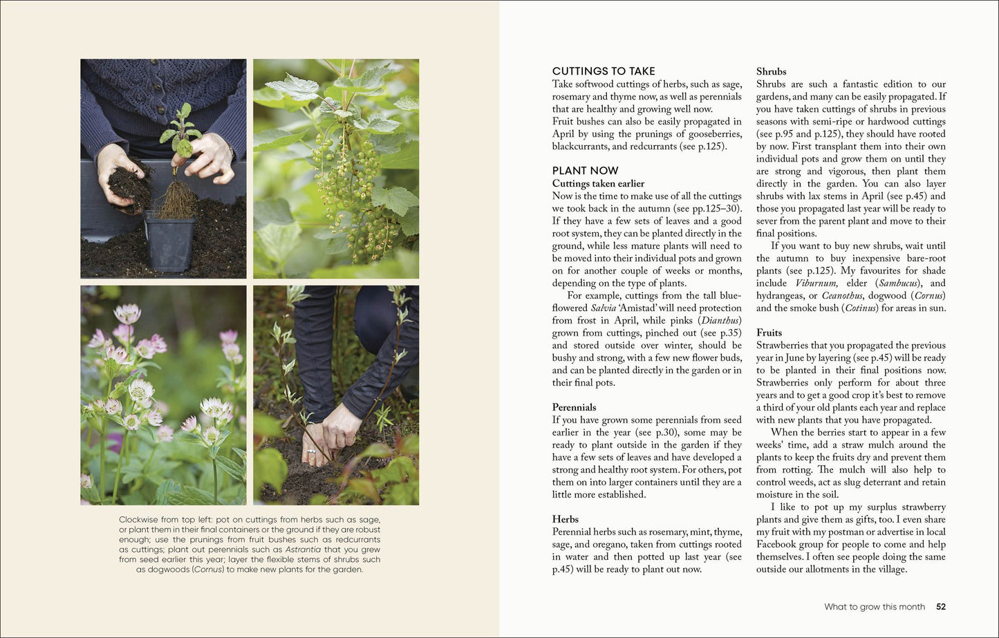 The Money-Saving Garden Year: A Month-by-month Guide to a Great Garden that Costs Less