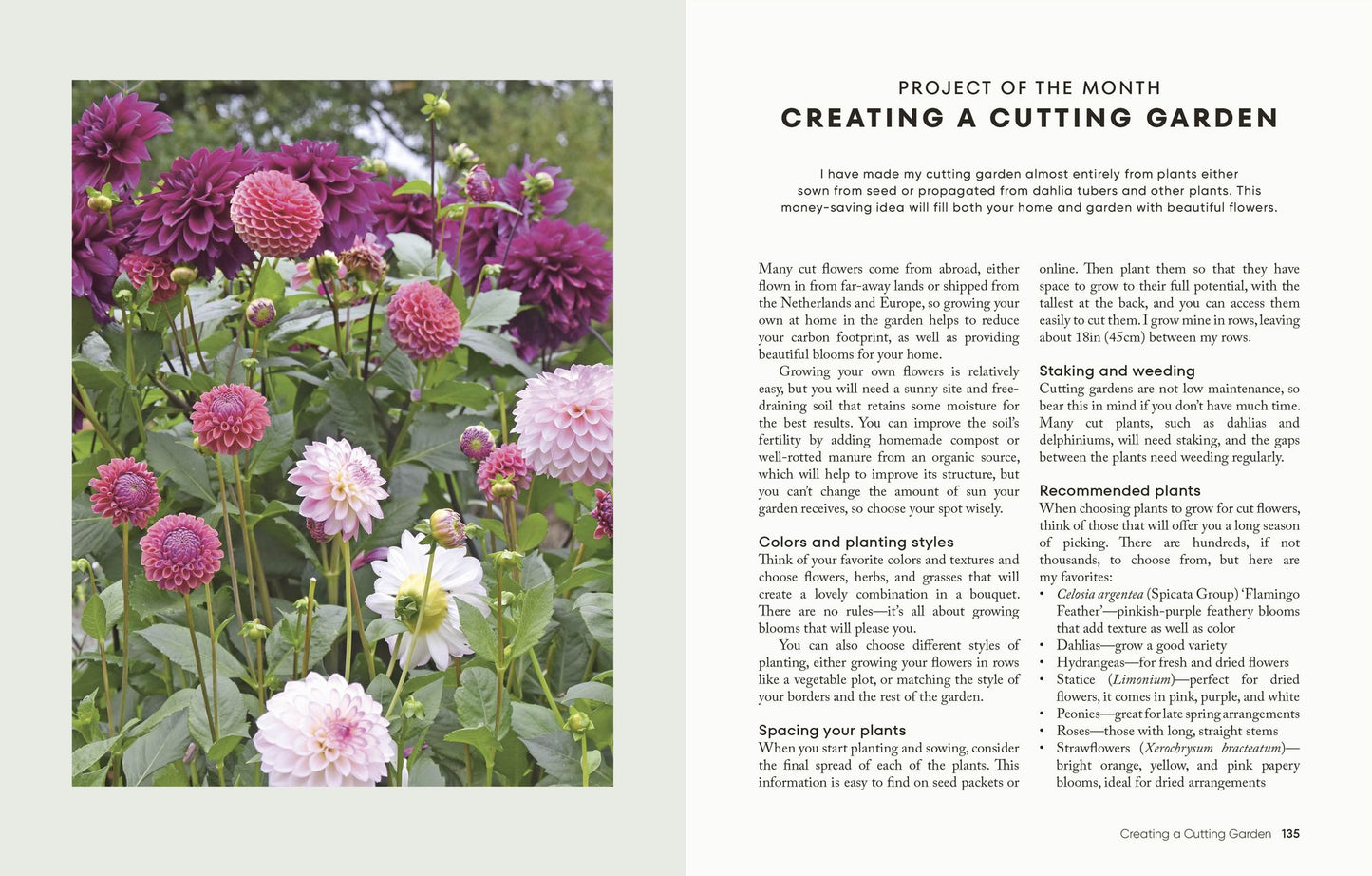 The Money-Saving Garden Year: A Month-by-month Guide to a Great Garden that Costs Less