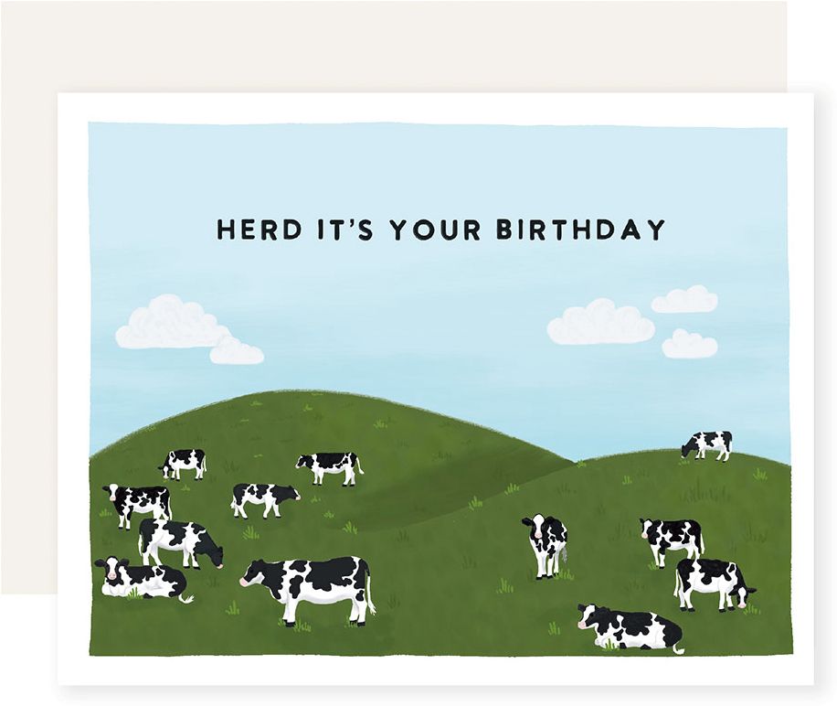 BDAY Cow Herd