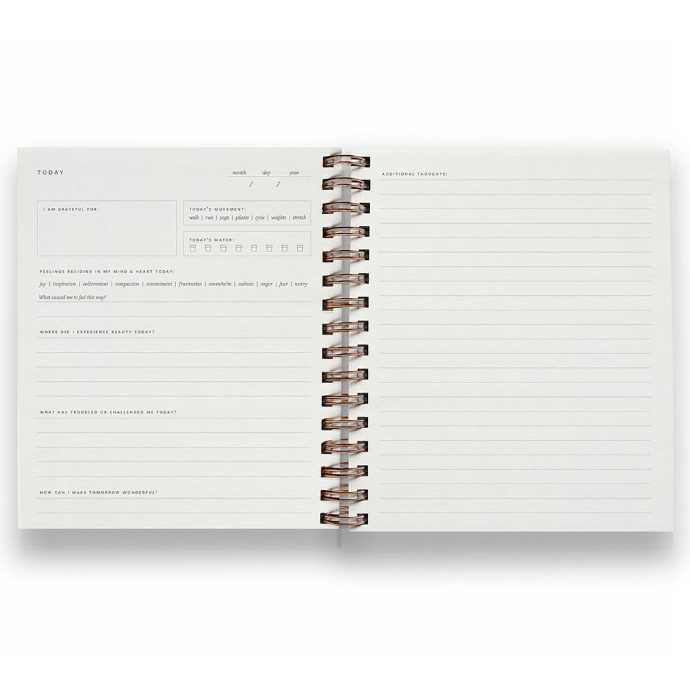 Daily Pause Journal Dotty