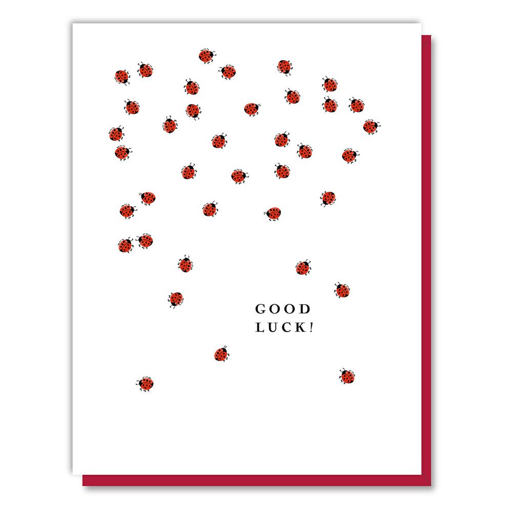 GLUCK Ladybugs