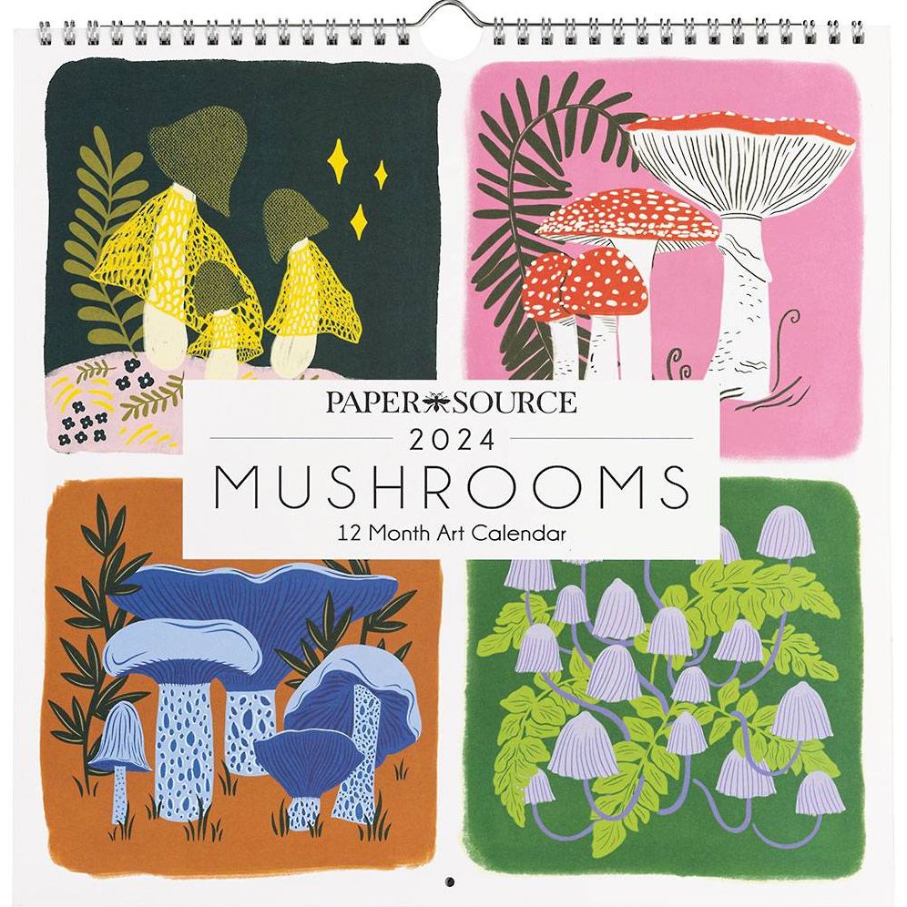 2024 Mushrooms Wall Calendar