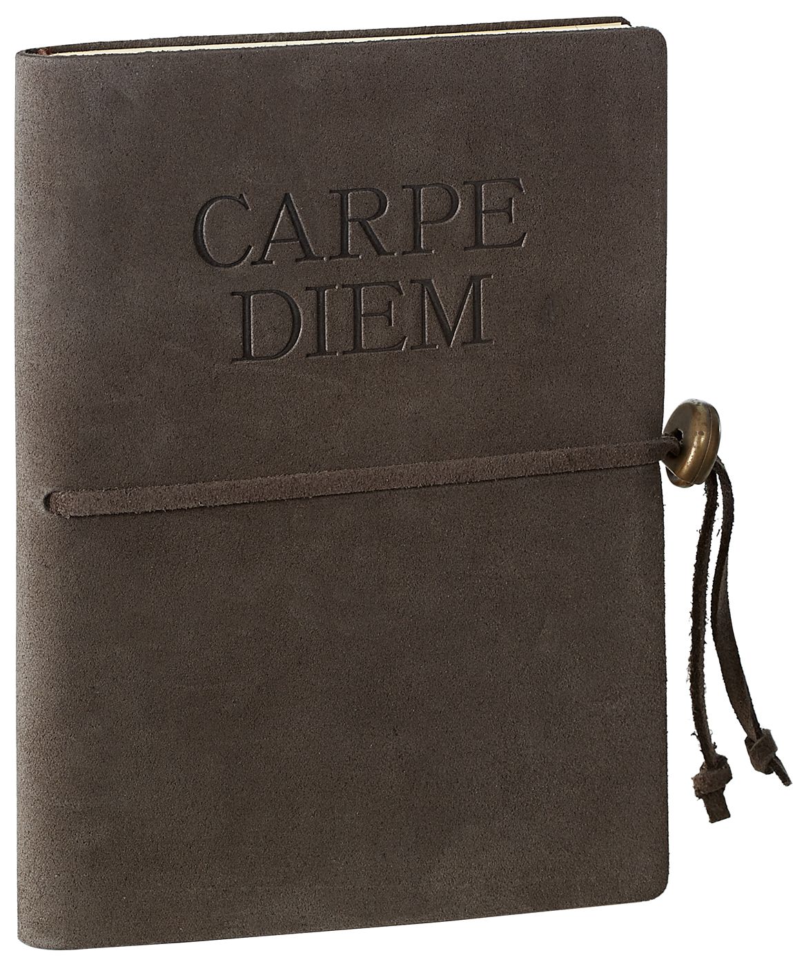 Carpe Diem Brown Italian Suede Lined Bound Tie Journal (6'' x 8")