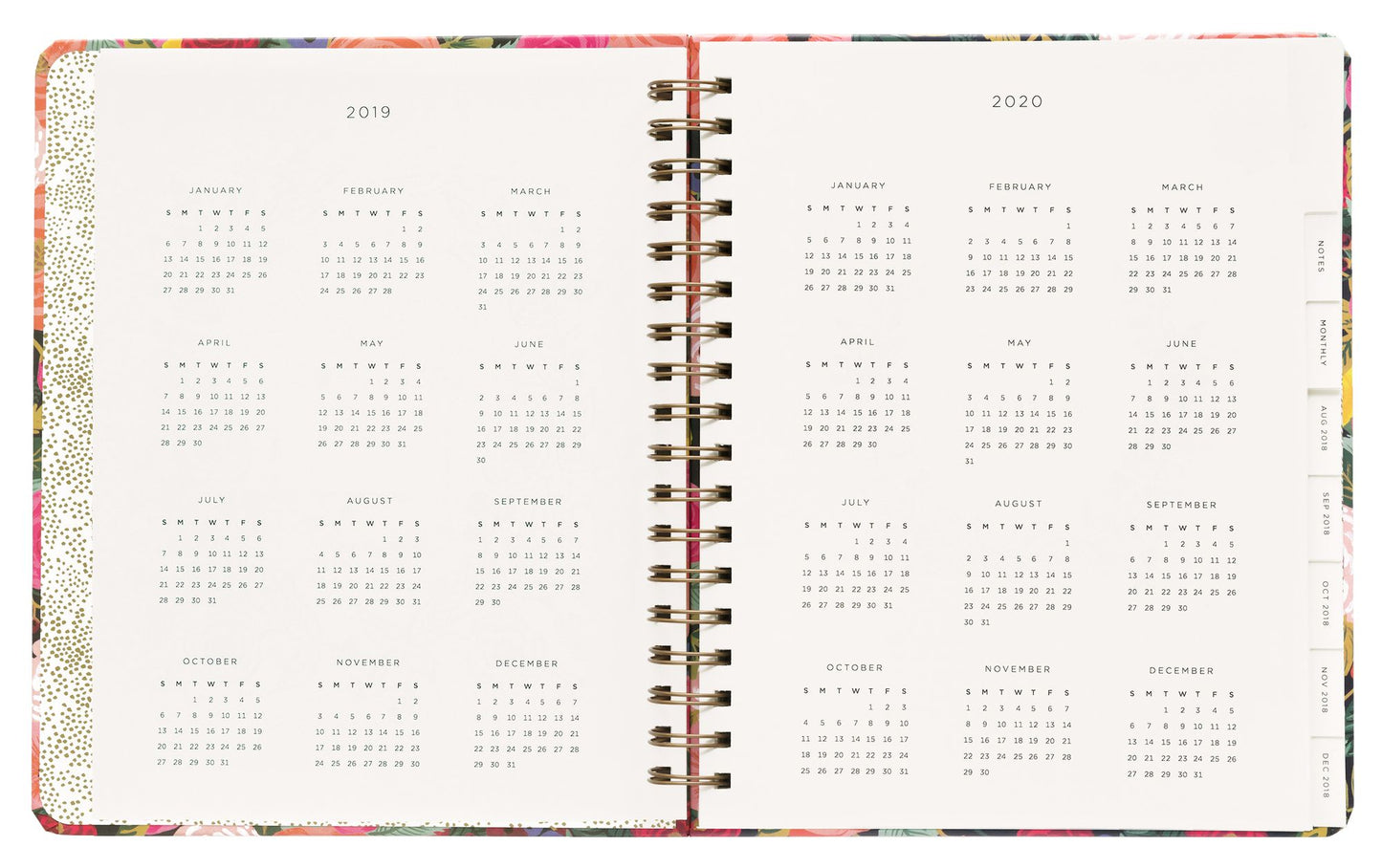 2019 17-Month Juliet Rose Spiral Planner