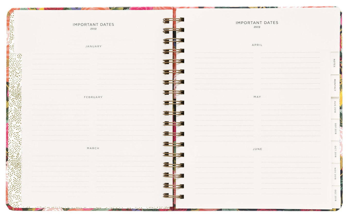 2019 17-Month Juliet Rose Spiral Planner
