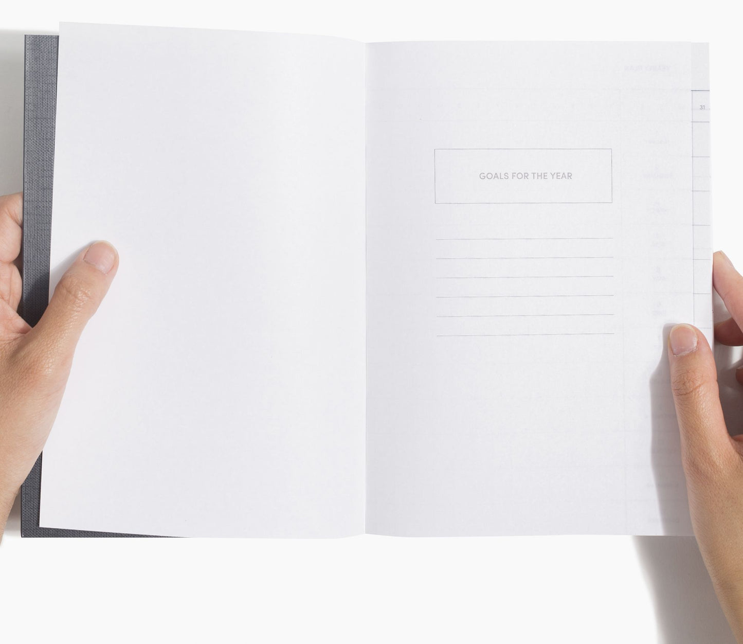Concept Planner in Rose