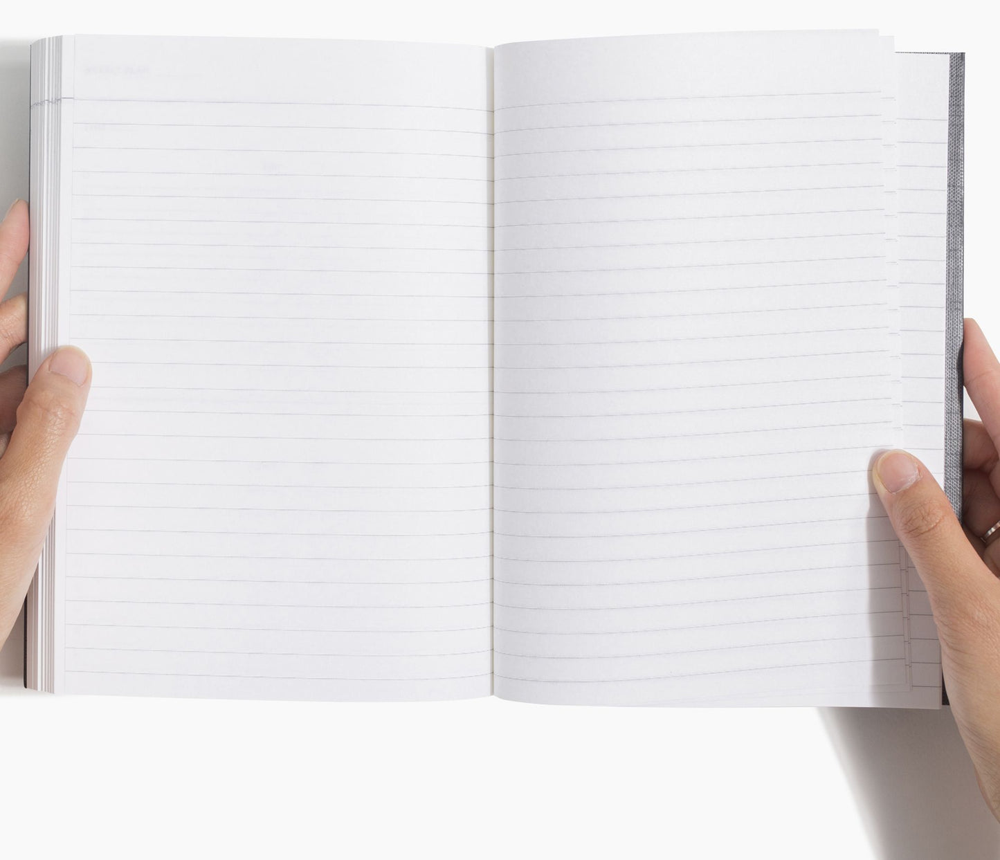 Concept Planner in Rose