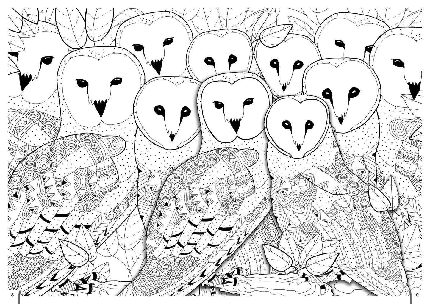 Coloring in 3D Birds