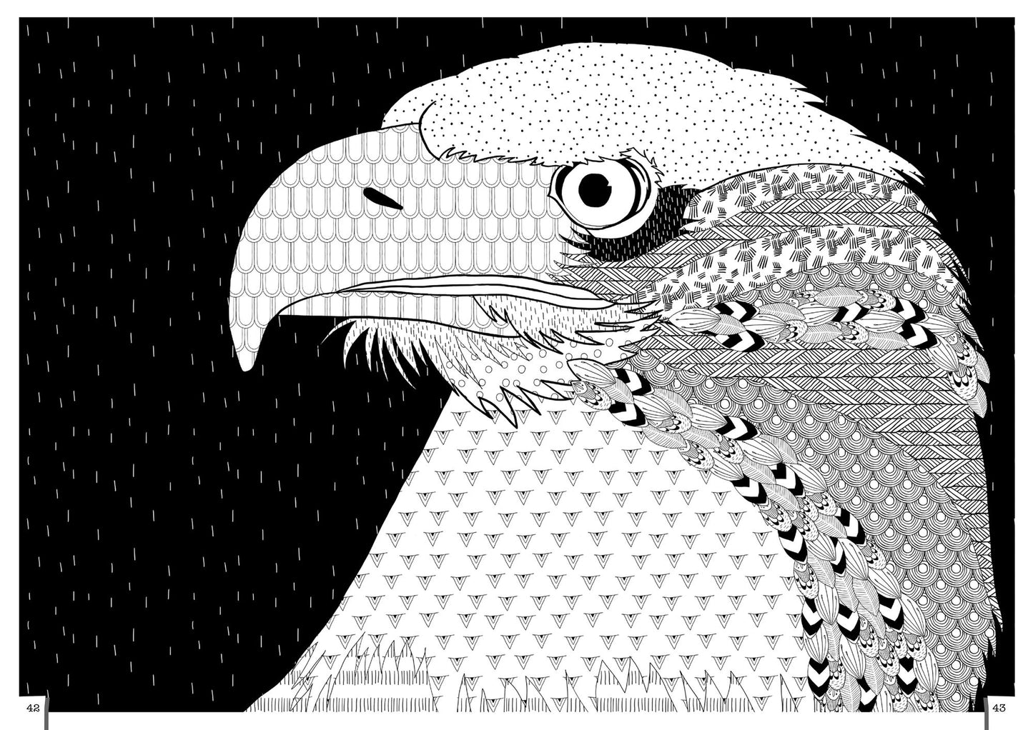 Coloring in 3D Birds