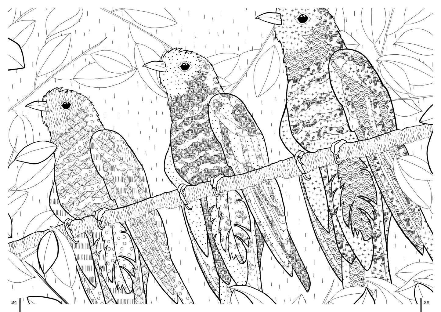Coloring in 3D Birds