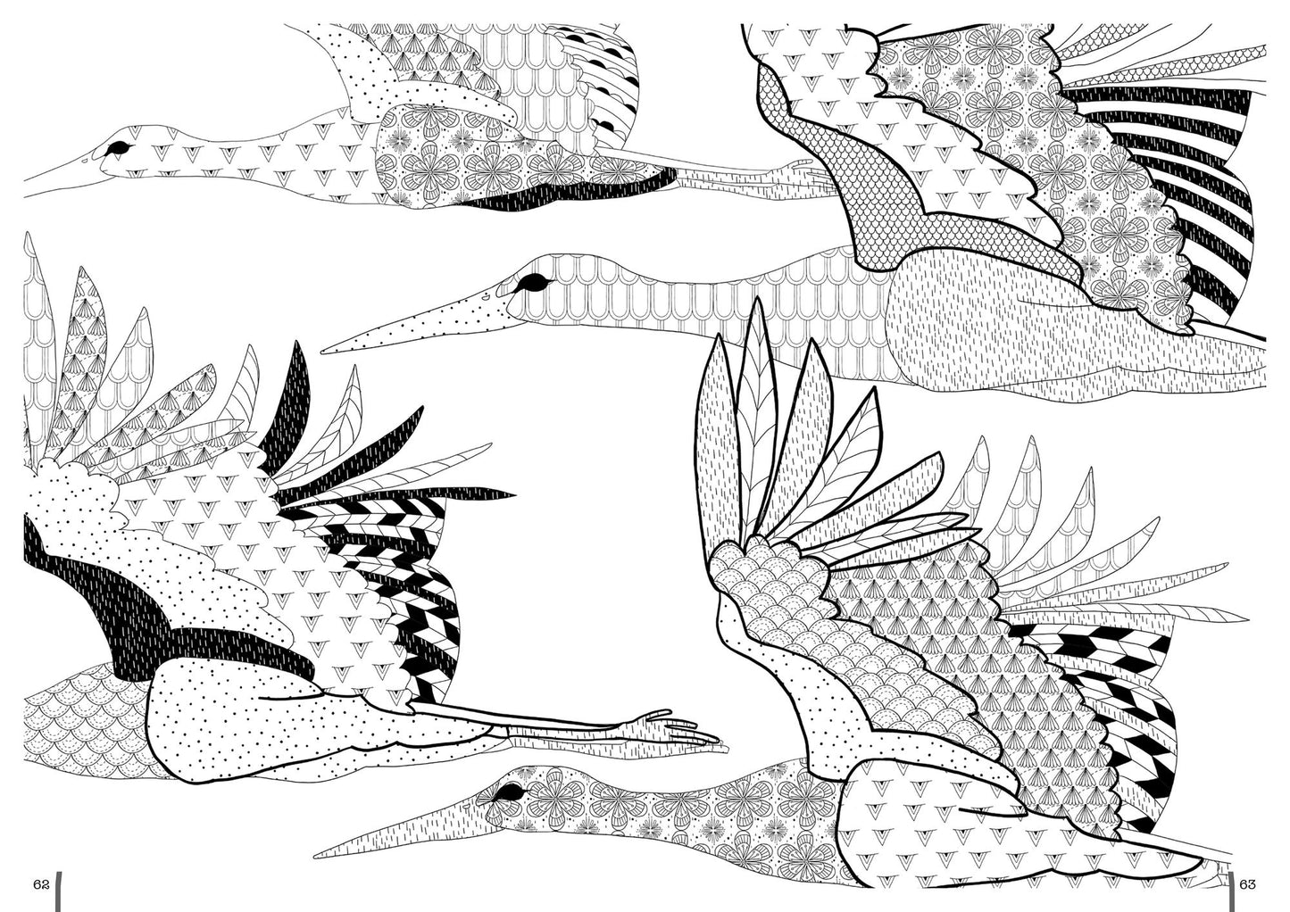 Coloring in 3D Birds