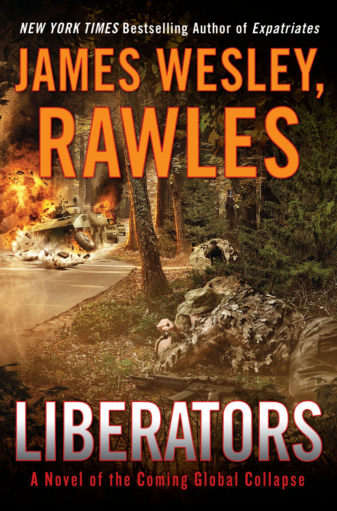 Liberators: A Novel of the Coming Global Collapse