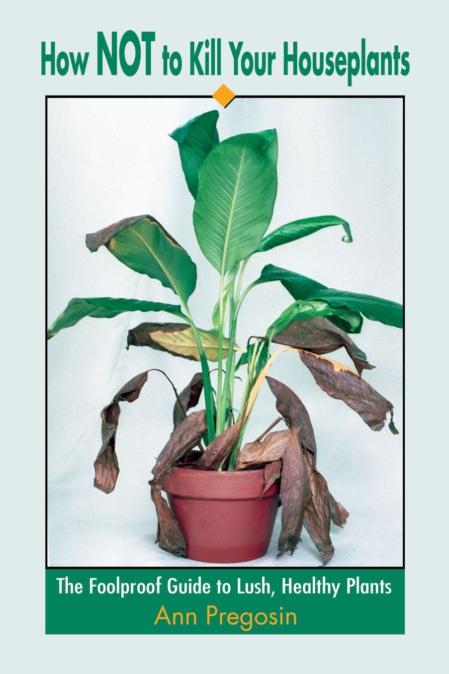 How NOT to Kill Your Houseplants