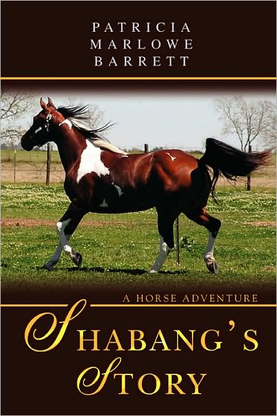 Shabang's Story