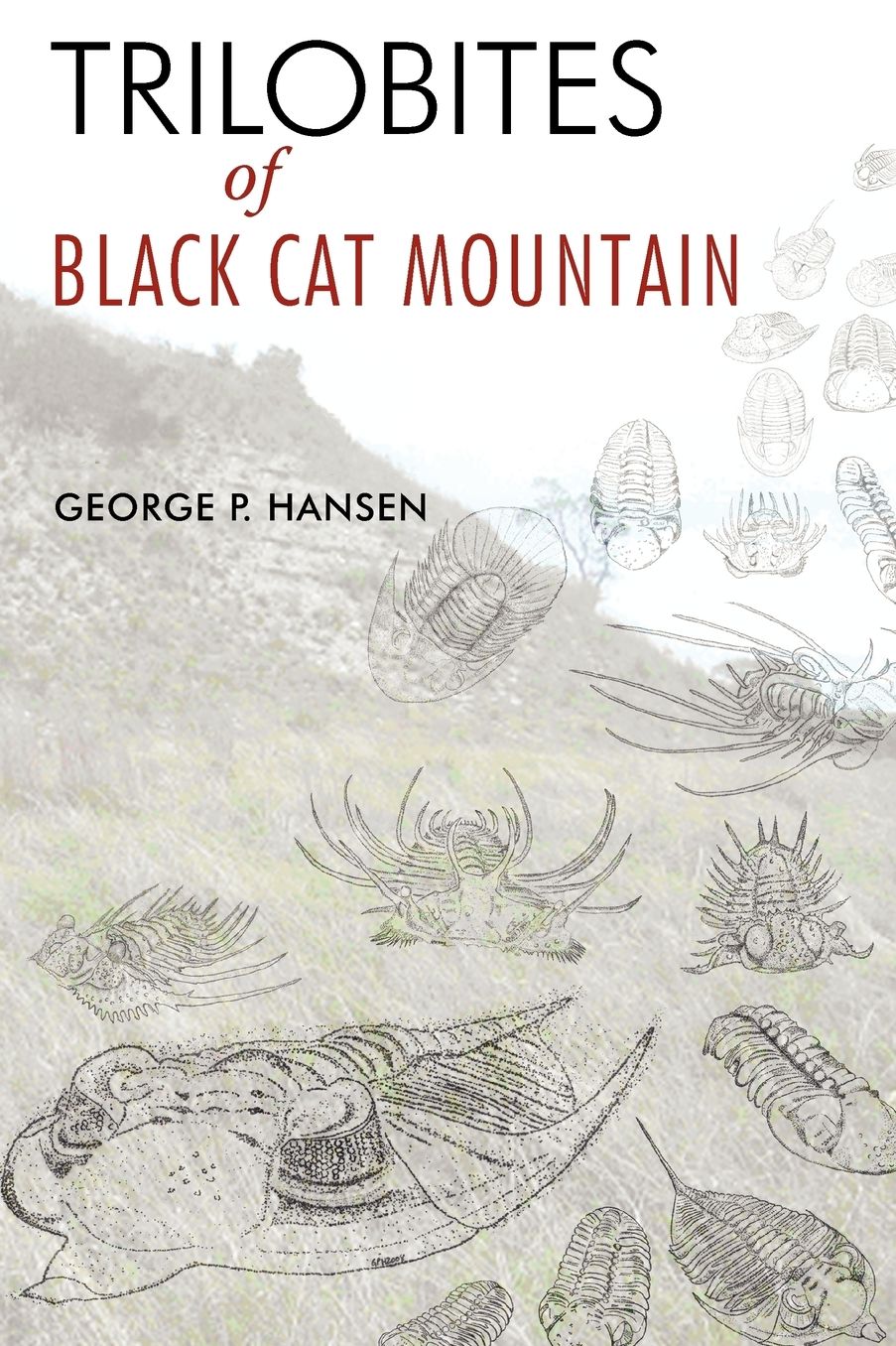 Trilobites Of Black Cat Mountain