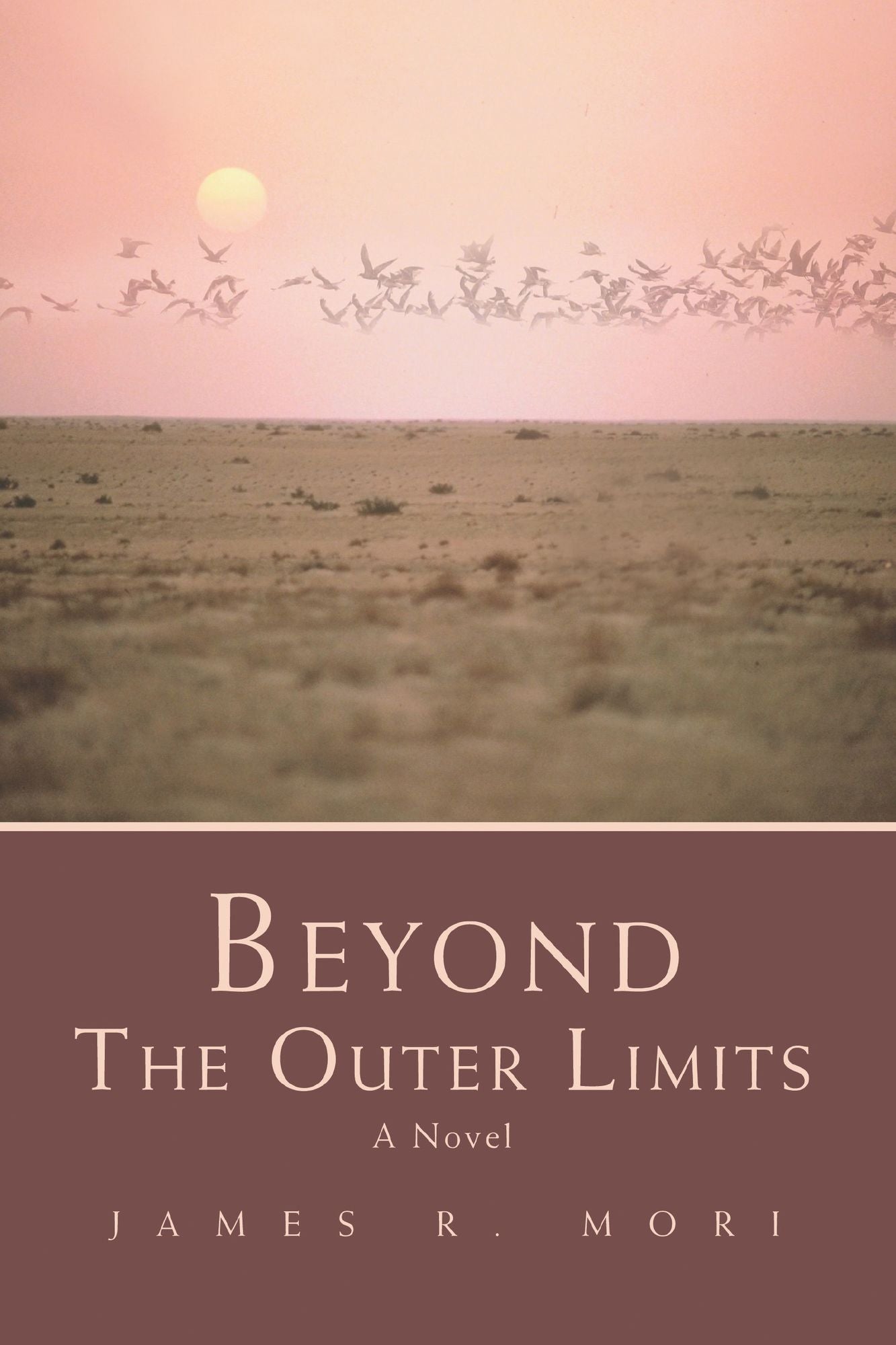 BEYOND THE OUTER LIMITS