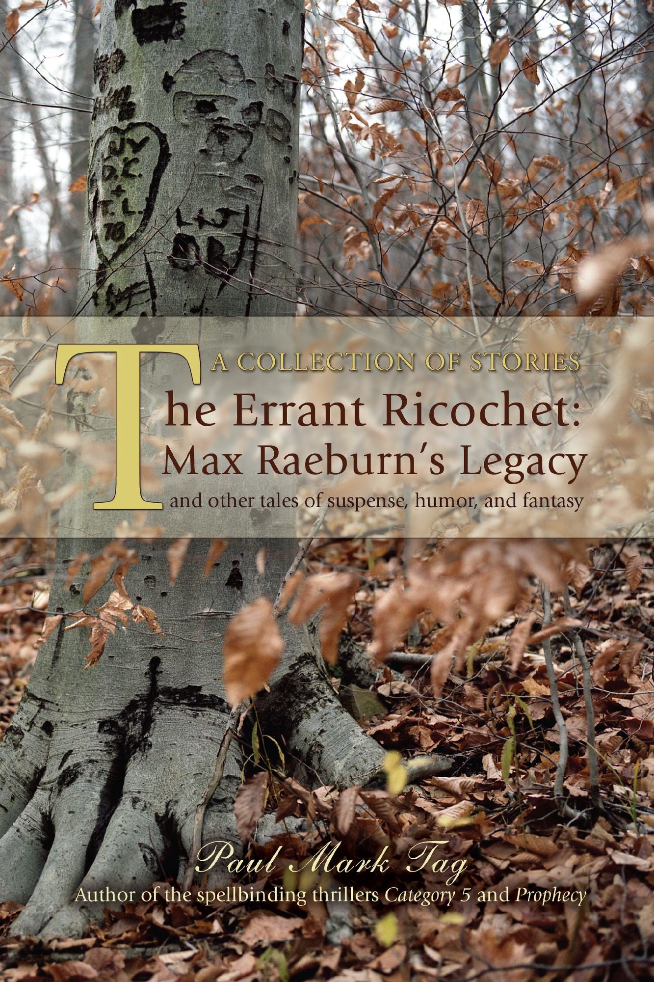 The Errant Ricochet: Max Raeburn's Legacy: and other tales of suspense, humor, and fantasy