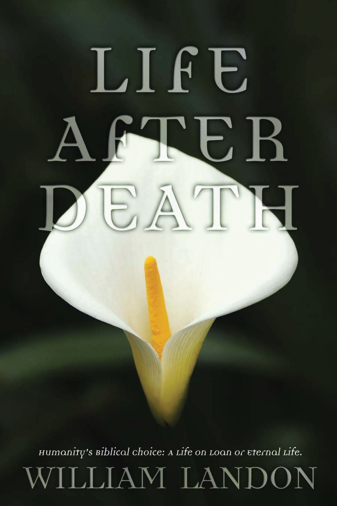 Life After Death: Humanity's Biblical Choice: A Life on Loan or Eternal Life