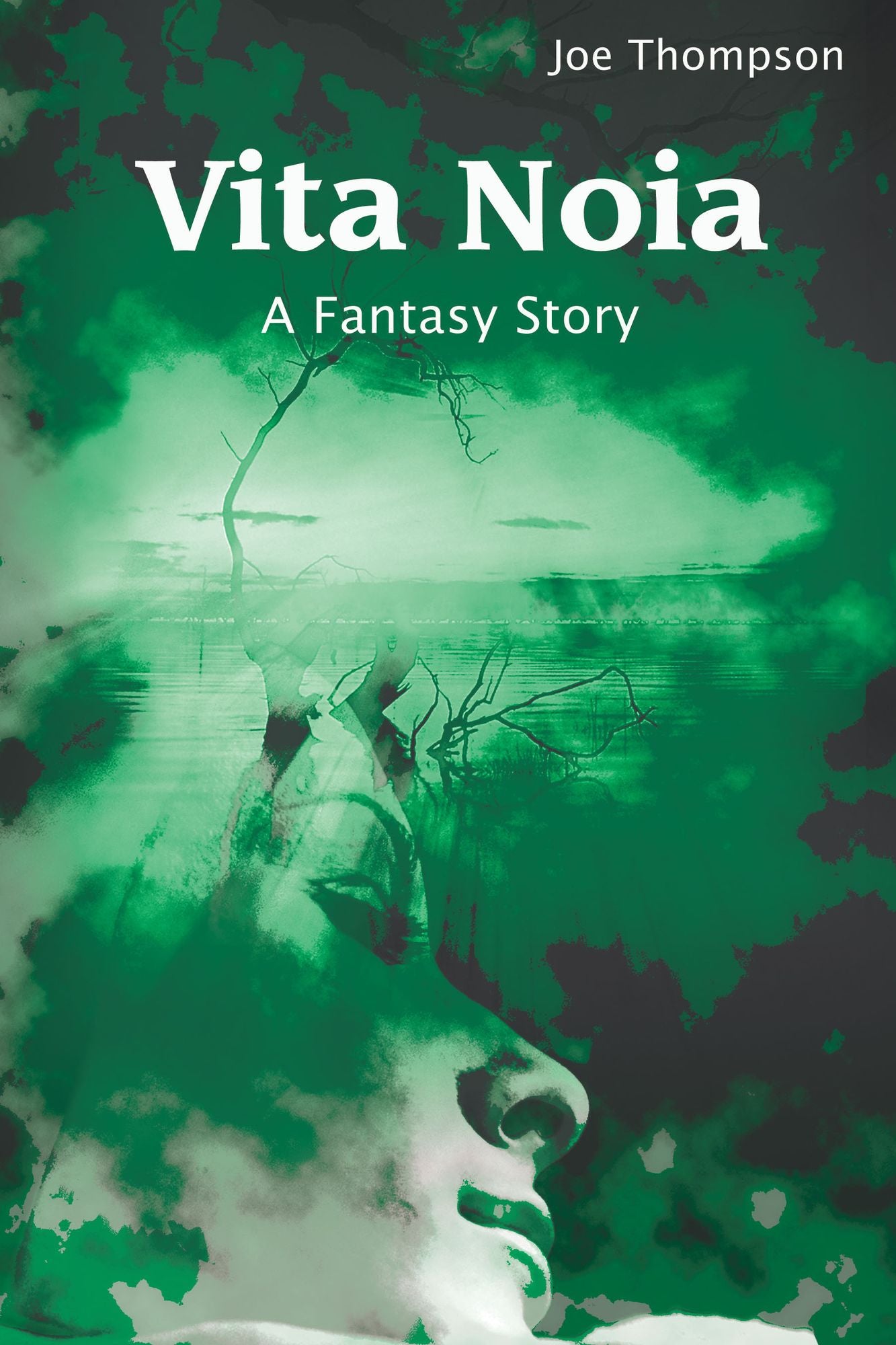 Vita Noia: A Fantasy Story