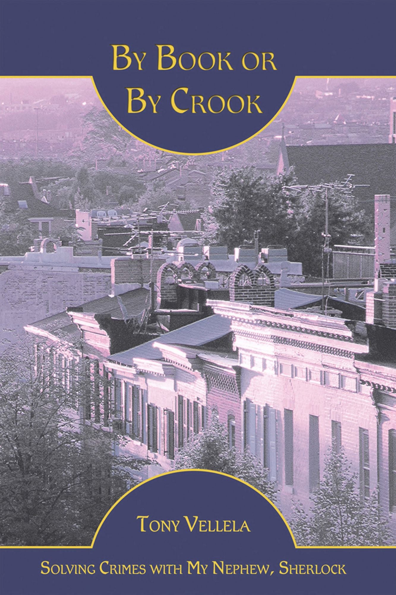 By Book or By Crook: Solving Crimes with My Nephew, Sherlock