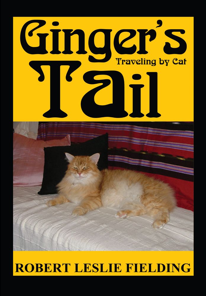 Ginger's Tail: Traveling by Cat