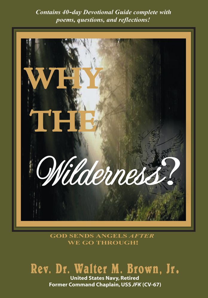Why the Wilderness?: God Sends Angels After We Go Through!