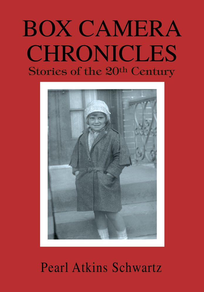 Box Camera Chronicles: Stories of the 20th Century