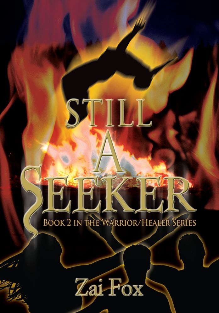 Still a Seeker: Book 2 in the Warrior/Healer Series
