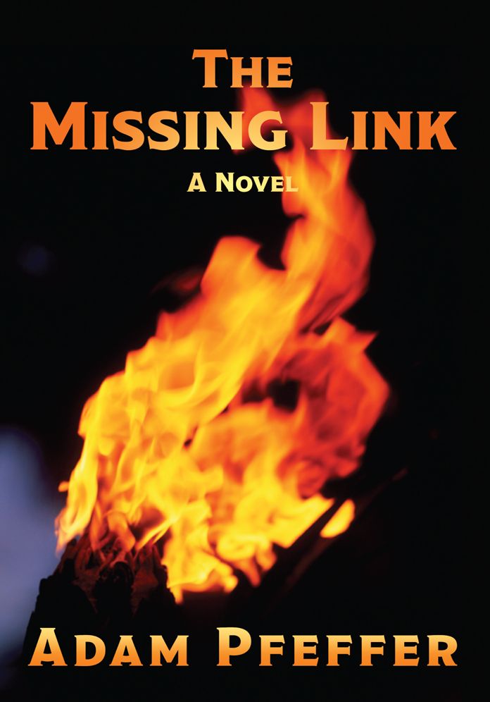 THE MISSING LINK
