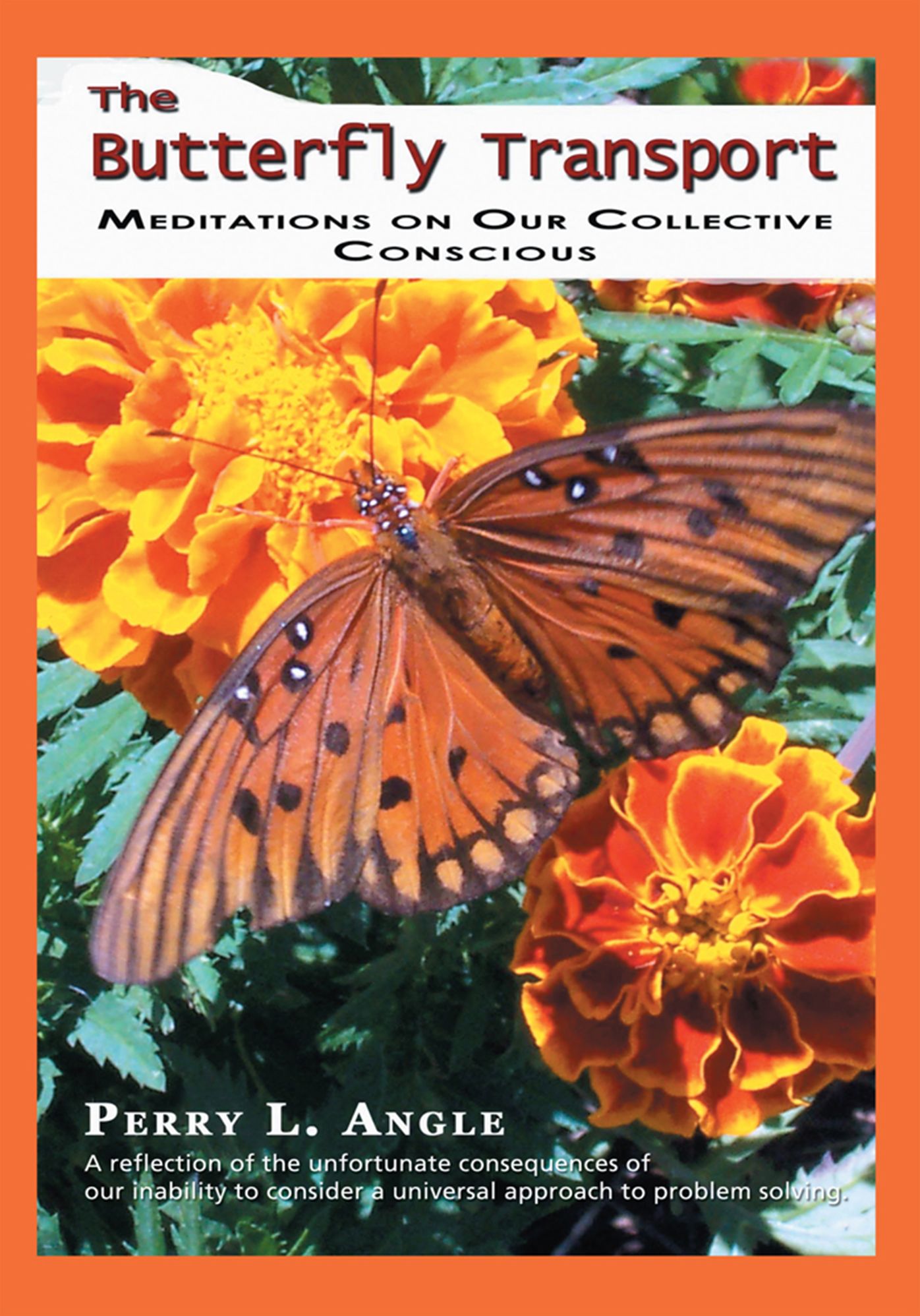 The Butterfly Transport: Meditations on Our Collective Conscious