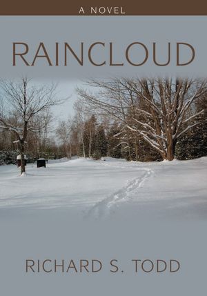 Raincloud: A Novel