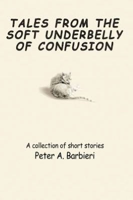 TALES FROM THE SOFT UNDERBELLY OF CONFUSION: A collection of short stories
