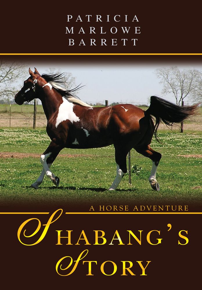 Shabang's Story: A Horse Adventure