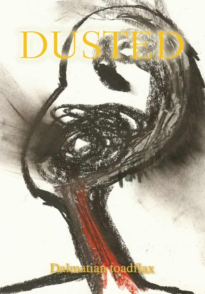 DUSTED (PagePerfect NOOK Book)