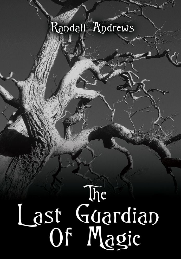 The Last Guardian Of Magic