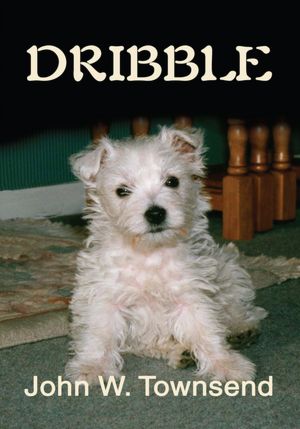 DRIBBLE