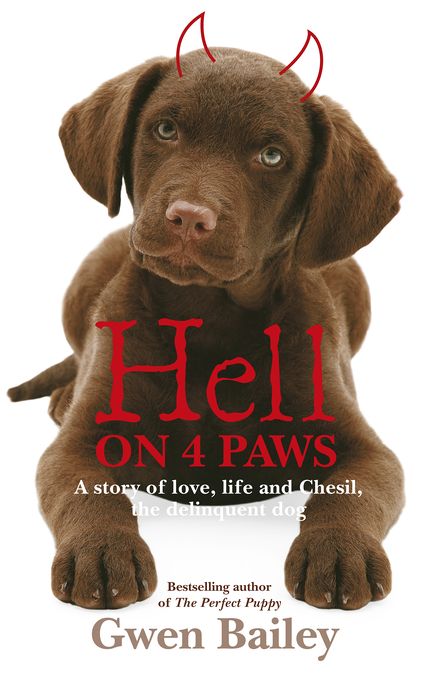 Hell on 4 Paws: How Britain's leading Pet Behaviourist met her match
