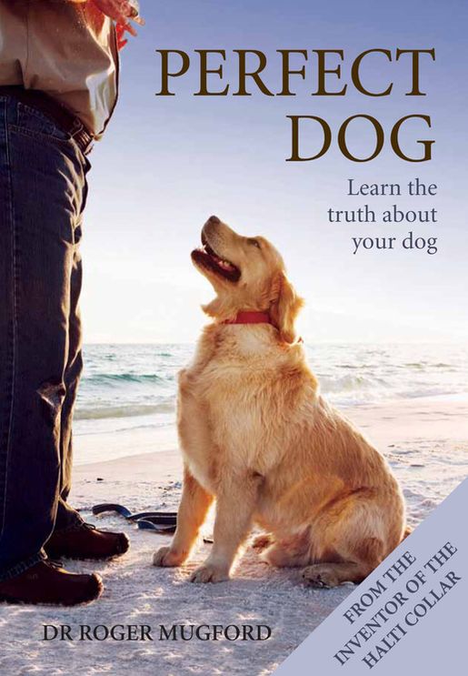 The Perfect Dog