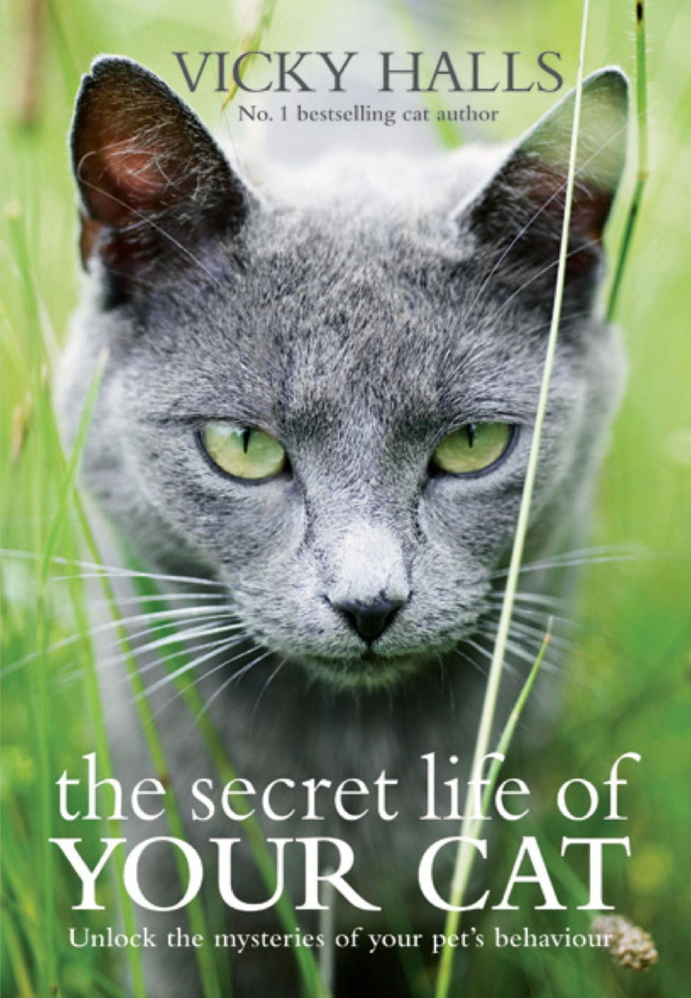 The Secret Life of your Cat: The Visual Guide to All Your Cat's Behaviour